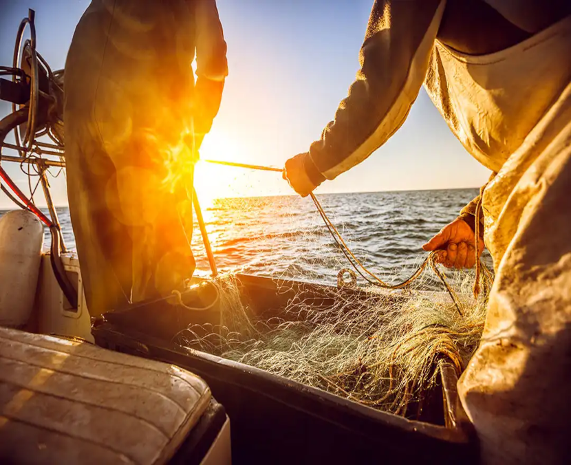 Fish fishing - M&W Europe wholesale seafood