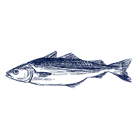 Fish - Fishmongers M&W Europe