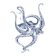 Octopus - Restaurants M&W Europe