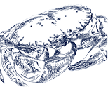Crab - Wholesalers M&W Europe